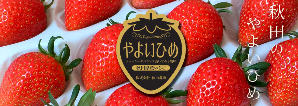 秋田のやよいひめ